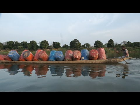 VdR2020 | Carte Blanche | Tanguy Djaka Yarissi | Wakis, chasseur d'arbres