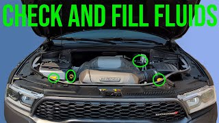 How to Check and Fill Fluids [COMPLETE GUIDE] - Dodge Durango (2011-2023)