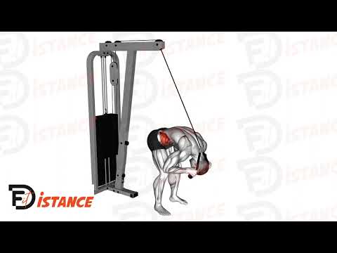 Exercice Crunch debout à la poulie