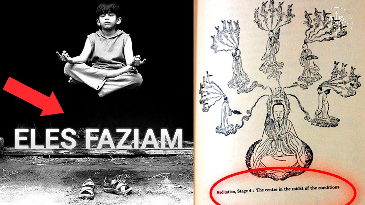 O Antigo Livro Taoísta Que Muda Tudo (O Segredo Da Flor Dourada)