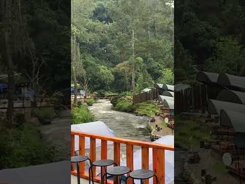 Adem, Suasana pagi hari di Talaga Pineus #pangalengan #wisata #bandung #campingberdua #glamping