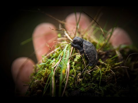 Jonathan Doster Photography video.