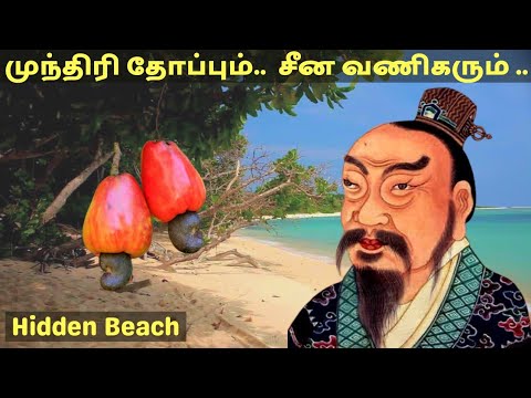 Mundhiri Thoppum Seena Vanigarum | Real Story | Hidden Beach | Thirumullaivasal | Sirkazhi