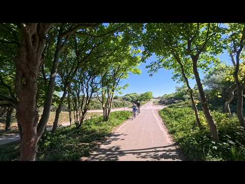 Cycling Through The Hague: Loosduinen–Kijkduin–Scheveningen | Netherlands | #eleonoraswalks