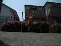 逆手マッスルアップ20回&逆手ディップス55回+腕立て100回+マッスルアップ10回