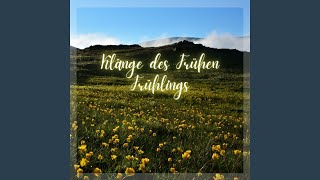 Die Farben des Frühlings