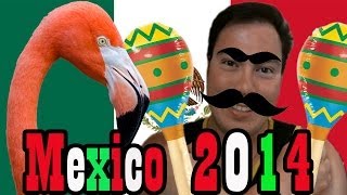 preview picture of video 'My Mexico Trip'