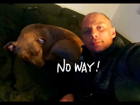 Franco030- Kampfgeist (Freestyle)