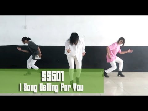 SS501 - A SONG CALLING FOR YOU (Dance cover) | SHAKE IT