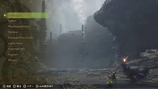 モンハンワイルズアプデ攻略オメガソロ