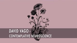 Dr. Vago on Contemplative Science