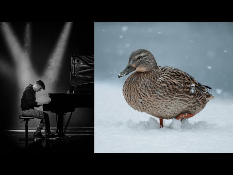 A Piano Performance Video