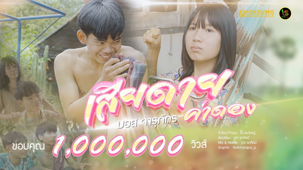 เนื้อเพลง เสียดายค่าดอง(เกินปุยมุ้ย) มอส จารุภัทร