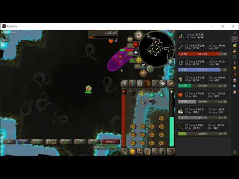 Shadow Wyrm Osrs