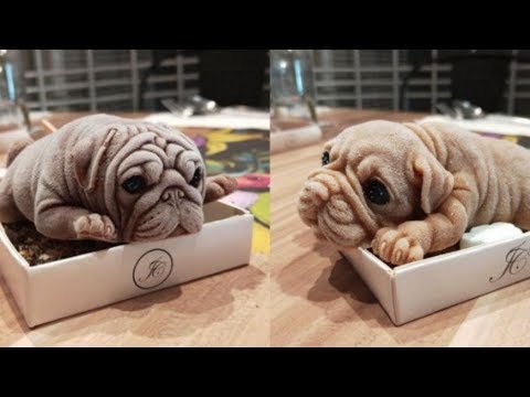 Pet dogs funny reaction for cutting dog shaped ice-cream cake