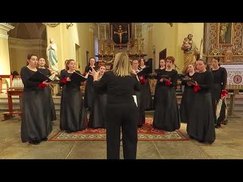 Mignonne - L. Donati