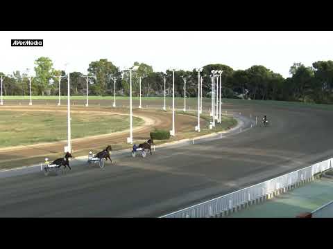 Prova di qualifica - 3 anni ed anziani - martedì 21 giugno 2022