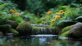 🌵 Music Therapy 🌿 Emotional Reset, Anxiety Relief & Mindful Calm