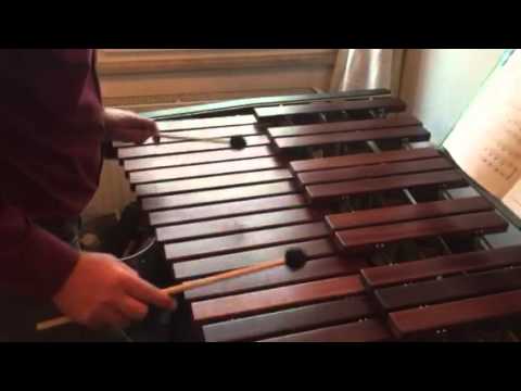 PataPata Lick in Oktaven D-Dur Marimba/Xylophon