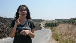 Nimet Akgün - Türk İşaret Dili - Atiye - Zamansız Aşklar