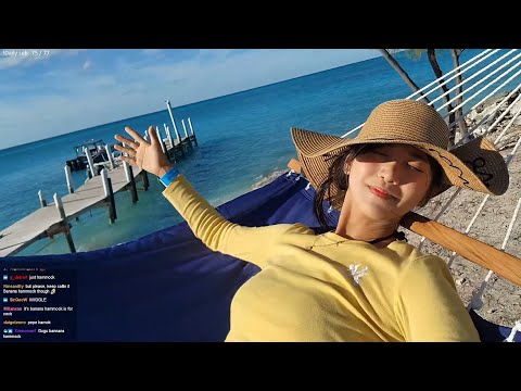 2023 01 18 LAST DAY IN BAHAMAS SNORKELING AND SWIMMING WITH PIIIGGGSS