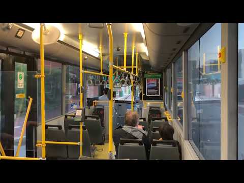 Transperth TP1551 - Mercedes-Benz O405NH (Voith)