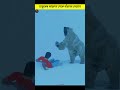How to survive a bear attack How To Survive Bear Attack | Factz Riyadh