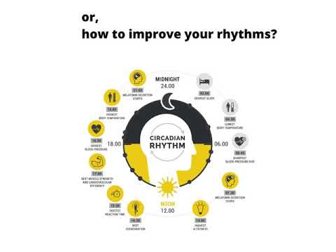 Annie Veale freelance video.