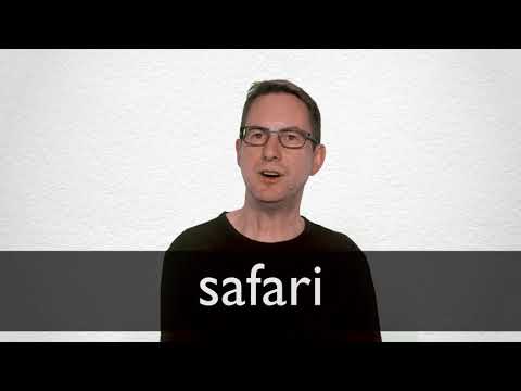 safari meaning in oxford dictionary
