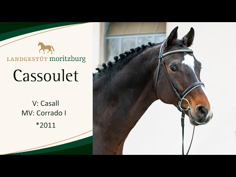 CASSOULET v. Casall - Corrado I 2023
