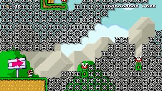 speedrun world record #7 (Super Mario Maker 2)
