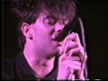 Echo & the Bunnymen - Never Stop (Live)