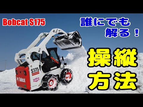 バイオレット・D・ボブキャットについて詳しく解説