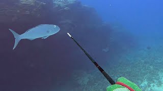 Rare Opportunity While Spearfishing Hawaii