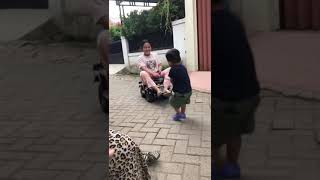 Download lagu samson betawi mp3