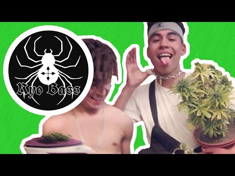 SLOW G - WANNA BE FT YOUNG DARHI 🔈(BASS BOOSTED)🔈