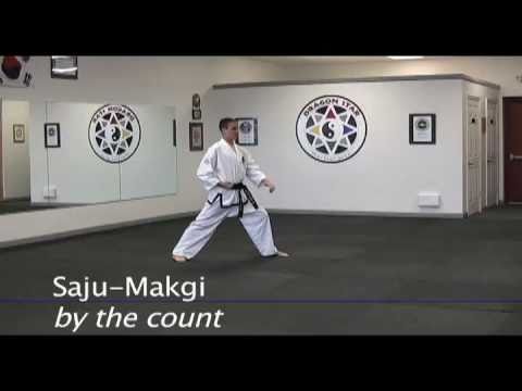 Dragon Star Martial Arts 10th Gup Pattern Saju Makgi