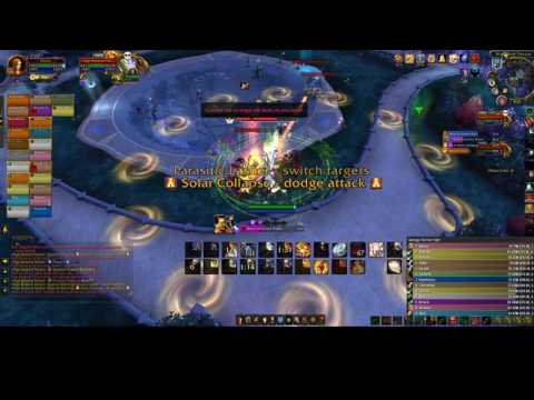Heroic Botanist - Retribution Paladin PoV 858k DPS