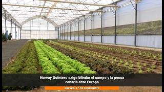 Narvay Quintero exige blindar el campo y la pesca canaria ante Europa