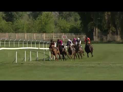 8. dostih - CENA WWW.VELKA-CHUCHLE.CZ - Video záznam Velké jarní ceny 2018 v Chuchli