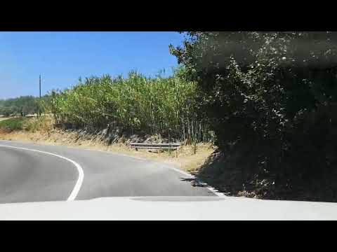 video PS San Carlo rally Valle del Sosio 2022