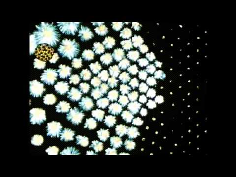 Nuclear chain reaction explained in 60 seconds