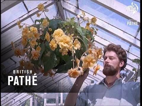 Out Takes / Cuts From Cp 299 - Tropical Gardens Aka Tropical Flowers (1960)