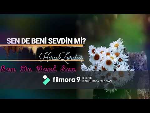 HiraiZerdüş - Sen de beni sevdin mi? Lyrics