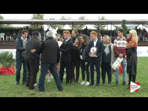 3rd Place N.51 MIZAR DI LORIS - Arezzo 2015 - Senior Mares Championship (Class 19)