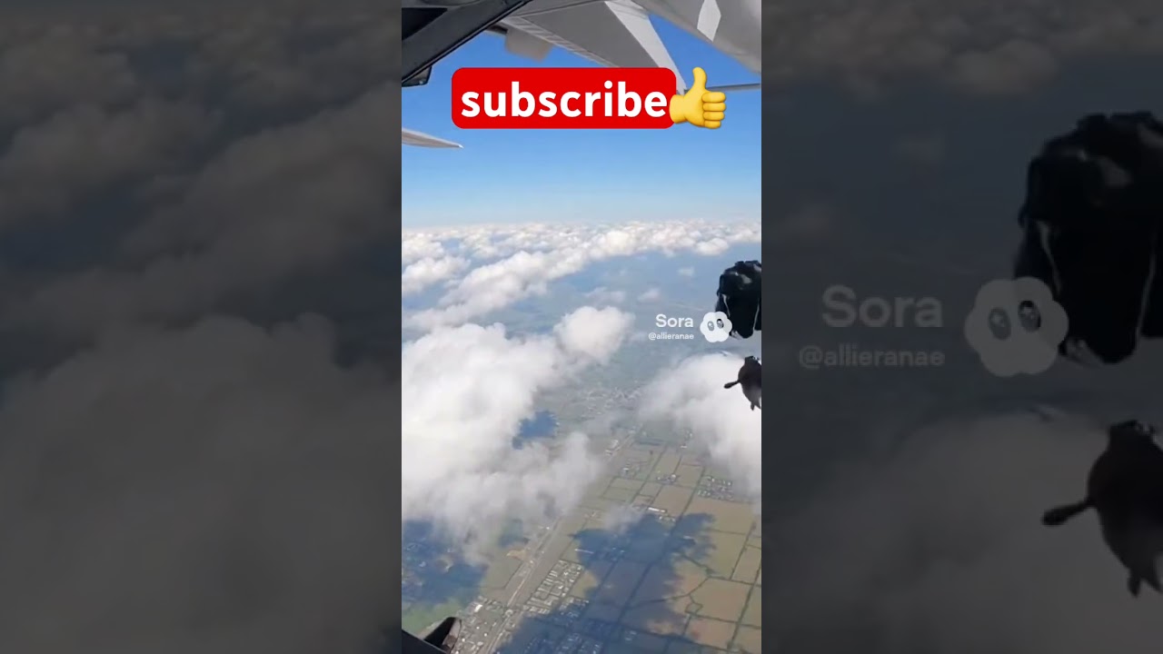 #aivideo #ai #aishorts #meme #funny #animals #animal #army #america