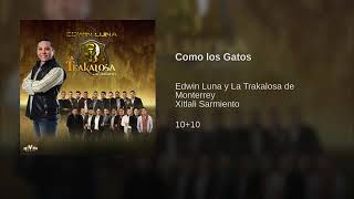 Como Los Gatos - La Trakalosa de Monterrey