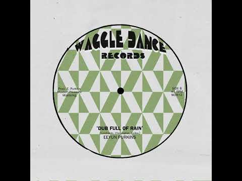 JOE YORKE & THE CO-OPERATORS: 'PAIN' & DUB FULL OF RAIN'