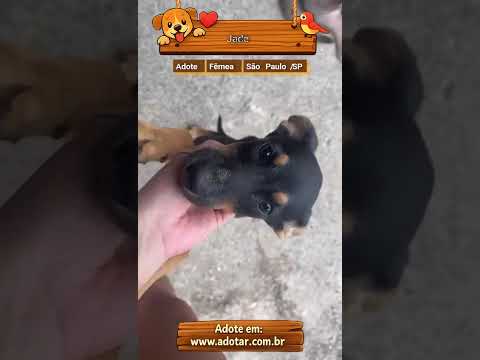 Vídeo de Jade