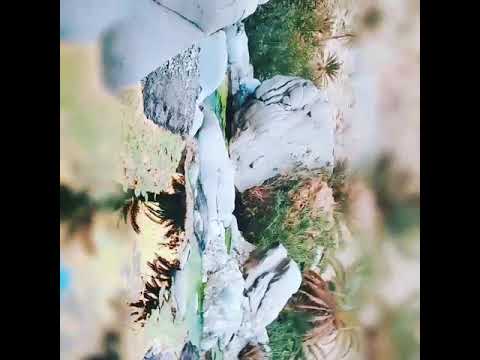 Agolliz Maroc. Abdellatif markou  marco tata طاطا اكليز